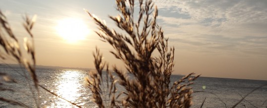 Mehr Sonne am Wochenende